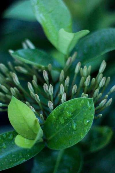 吃瓜熱點(diǎn)3